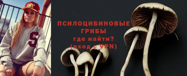сатива Балахна
