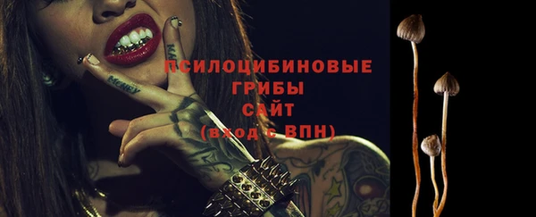сатива Балахна