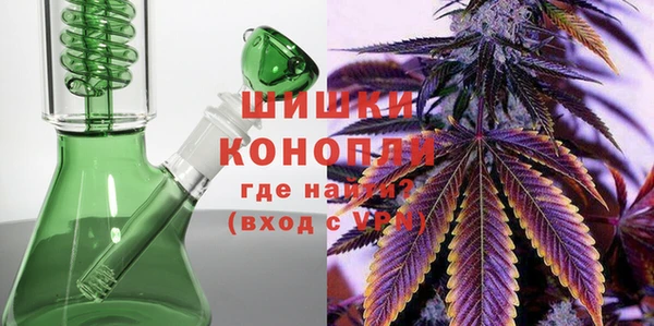 сатива Балахна
