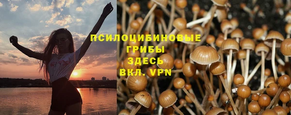 mdpv Баксан