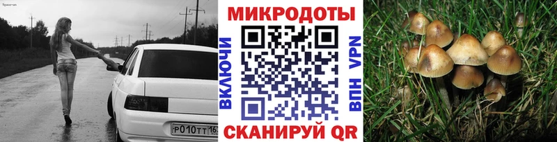 Псилоцибиновые грибы Magic Shrooms  Жуков 